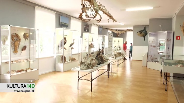 kultura_hd2.mp4