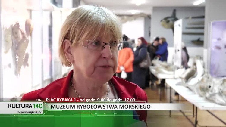 kultura_muzeum_hd.mp4