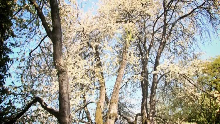 przeslawice_2020-05-08.mp4
