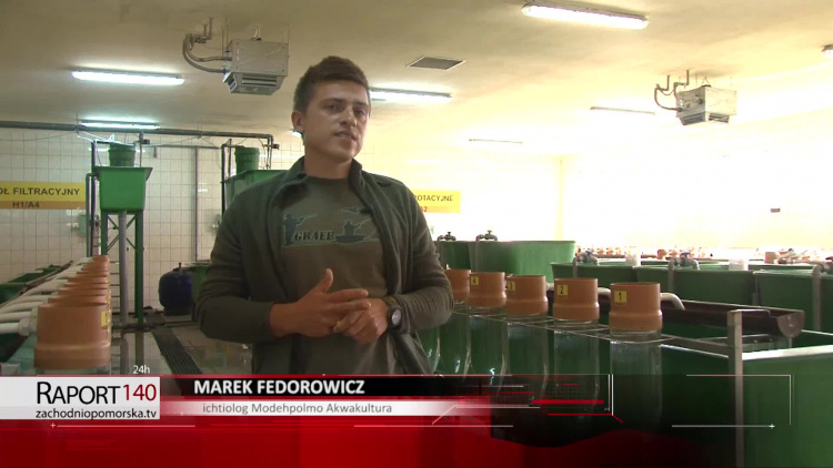 woda_2020-06-29.mp4