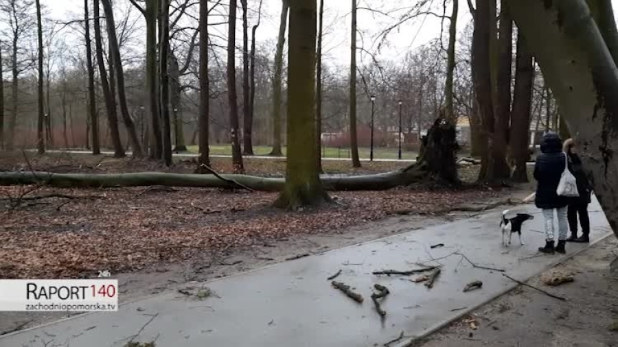 park-inter.mp4